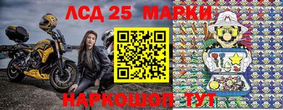 гидропоника Будённовск