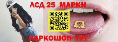 гидропоника Будённовск