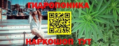 гидропоника Будённовск