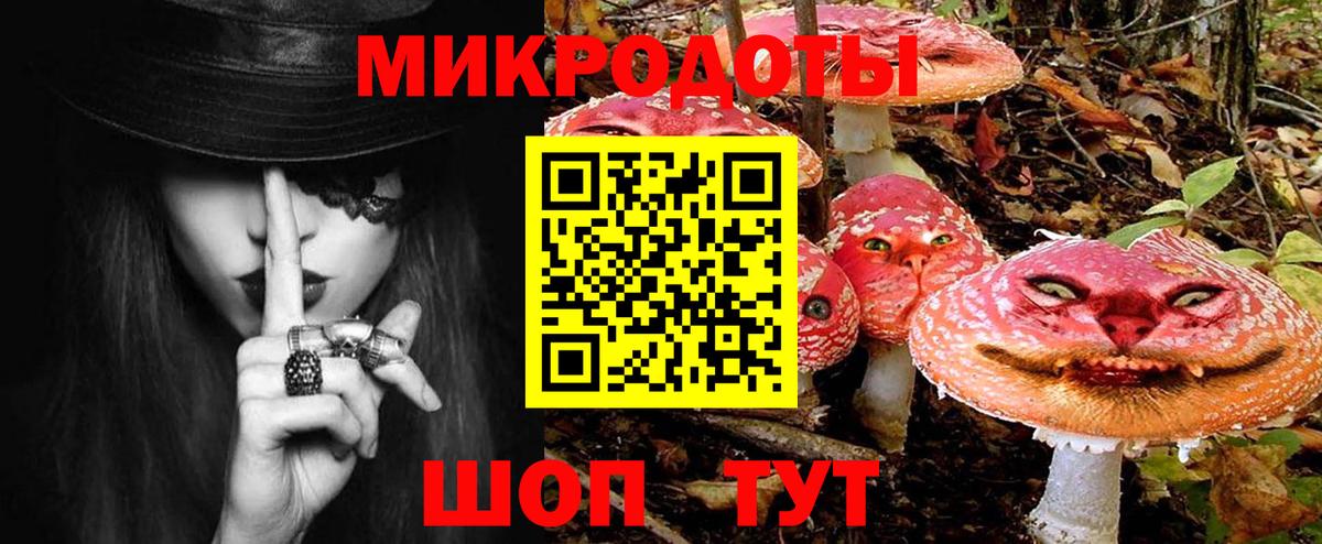Реж  Псилоцибиновые грибы Psilocybe  Вход с VPN 